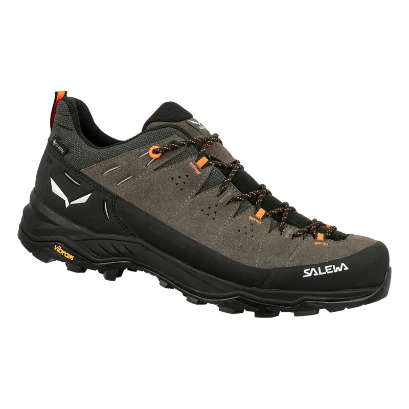 Salewa Alp Trainer 2 GTX Men's Walking Shoes Bungee Cord/Black