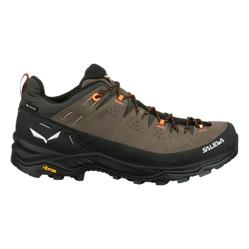 Salewa Alp Trainer 2 GTX Men's Walking Shoes Bungee Cord/Black-2