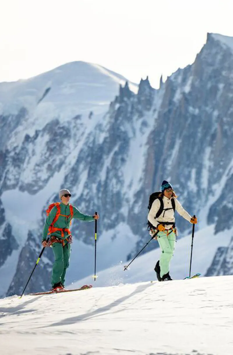 Black Crows Pilus Corvus Freebird Skins-4