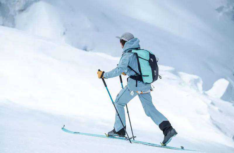 Black Crows Trios Freebird Ski Poles Black / Blue-6