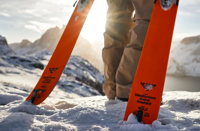 Black Crows Draco Freebird Touring Skis 24 / 25-5