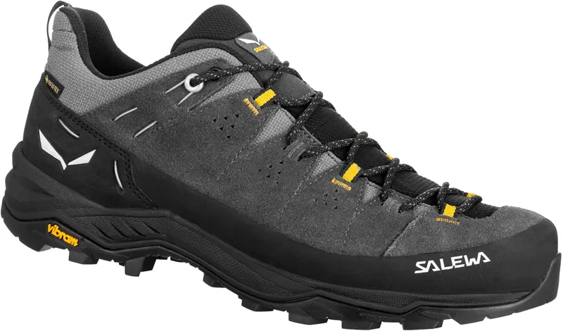 Salewa Alp Trainer 2 GTX M Onyx / Black Men's Walking Shoes