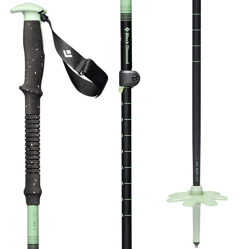 Black Diamond Expedition 3 Ski Poles -1